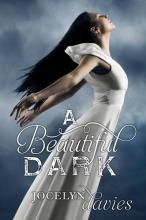 Cover image of A beautiful dark