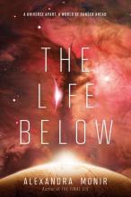 Cover image of The life below