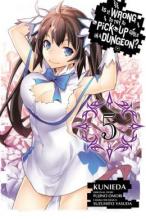 Cover image of Is it wrong to try to pick up girls in a dungeon?
