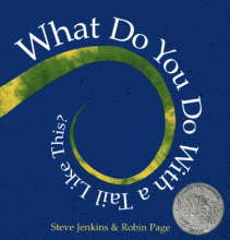 Cover image of What do you do with a tail like this?
