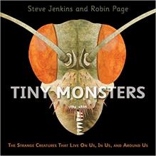 Cover image of Tiny monsters