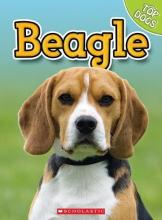 Cover image of Beagle