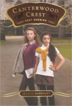 Cover image of Best enemies