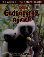 Cover image of The ABCs of endangered animals