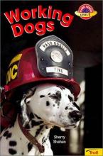 Cover image of Working dogs