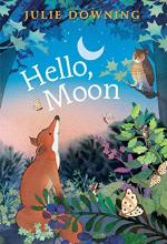 Cover image of Hello, moon
