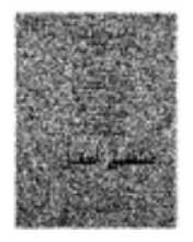 Cover image of Common sense