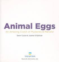 Cover image of Animal eggs