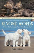 Cover image of Beyond words