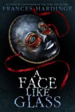Cover image of A Face Like Glass