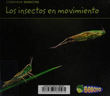 Cover image of Los insectos en movimiento