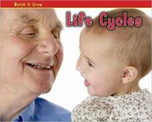 Cover image of Life cycles