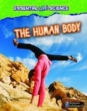 Cover image of The human body