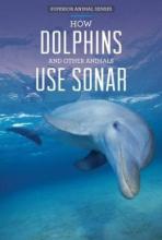 Cover image of How dolphins and other animals use sonar