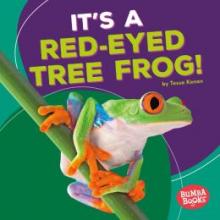 Cover image of It's a red-eyed tree frog!