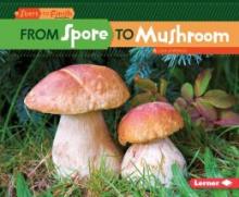 Cover image of From spore to mushroom
