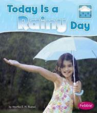 Cover image of Today is a rainy day