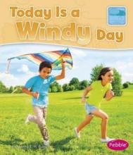 Cover image of Today is a windy day