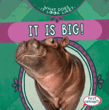 Cover image of It is big!