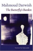Cover image of The butterfly's burden