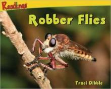 Cover image of Robber flies