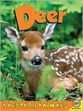 Cover image of Deer