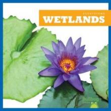 Cover image of Wetlands