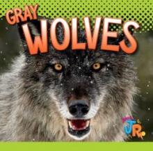 Cover image of Gray wolves