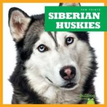 Cover image of Siberian huskies