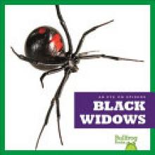 Cover image of Black widows