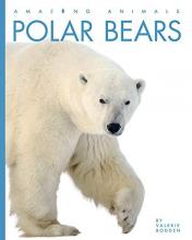Cover image of Polar bears