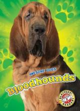 Cover image of Bloodhounds