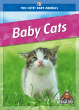 Cover image of Baby cats