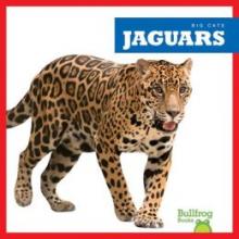 Cover image of Jaguars