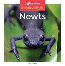 Cover image of Newts