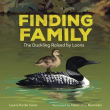 Cover image of Finding family