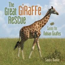 Cover image of The great giraffe rescue