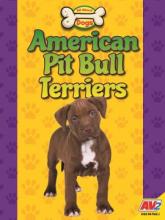 Cover image of American pit bull terriers