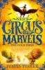 Cover image of The gold thief