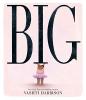 Cover image of Big