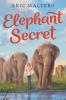 Cover image of Elephant secret
