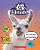 Cover image of Llamas