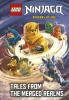 Cover image of LEGO Ninjago, dragons rising