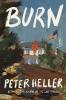 Cover image of Burn