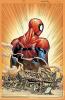 Cover image of The Amazing Spider-Man