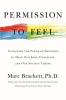 Cover image of Permission to feel