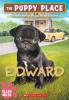 Cover image of Edward