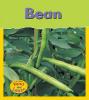 Cover image of Bean