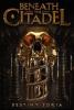 Cover image of Beneath the citadel
