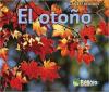 Cover image of El oton?o